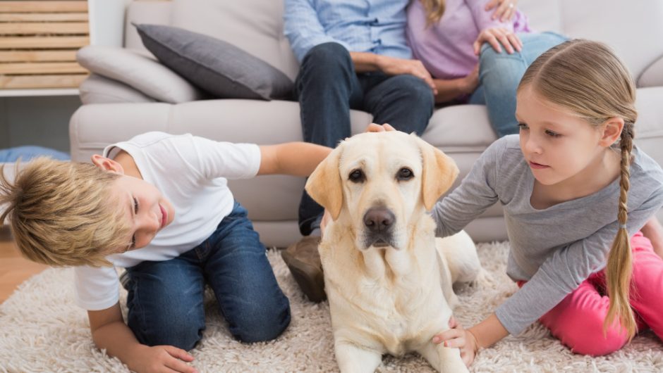 Cele mai bune rase de câini pentru familii cu copii mici